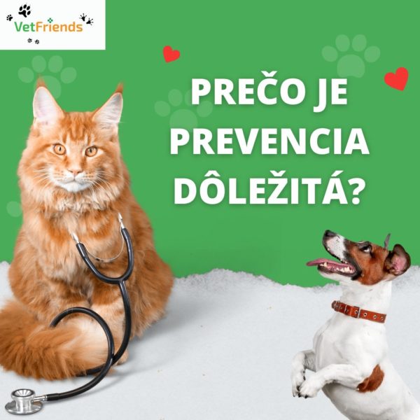 Preventívna prehliadka VetFriends